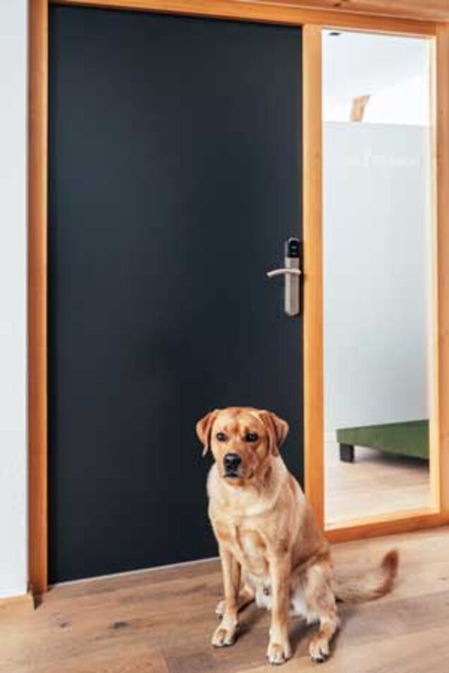 Bürohund Pepe sitzt vor der Eingangstür des Büros
