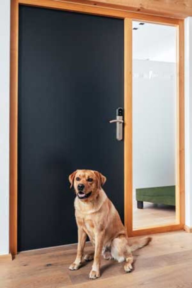 Bürohund Pepe vor der Bürotür mit Körbl + Feneberg Logo